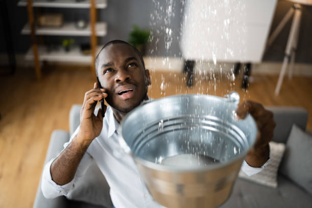 Best Commercial water damage restoration  in Dysart, IA