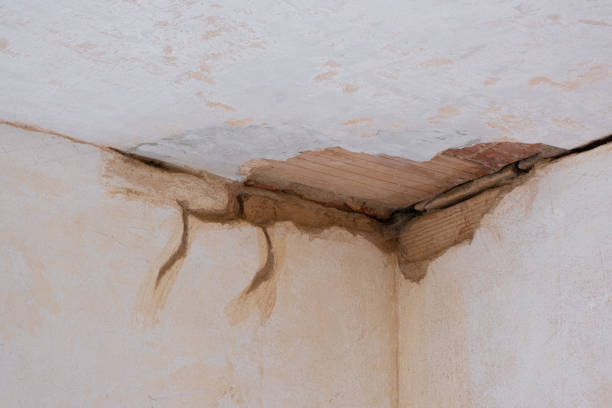 Best Basement water damage restoration  in Dysart, IA