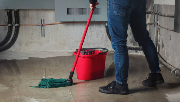 Best Mold removal after water damage  in Dysart, IA
