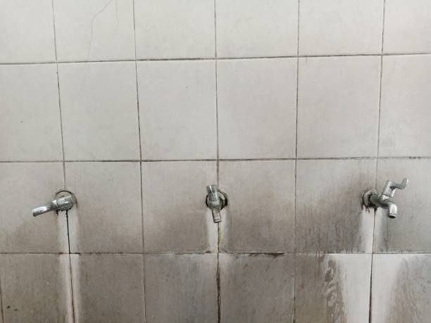 Best Flood restoration services  in Dysart, IA