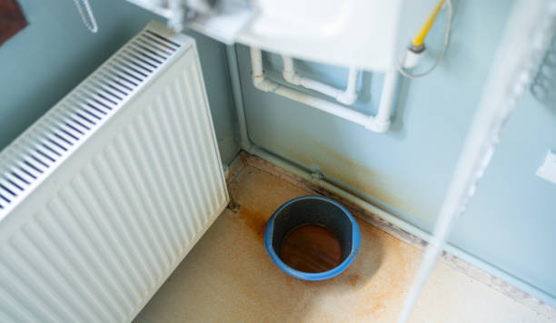 Best Fire Damage Restoration  in Dysart, IA