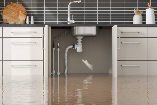 Professional Water damage restoration in IA