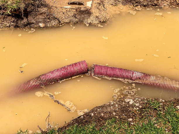 Best Water damage contractors near me  in Dysart, IA
