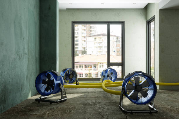 Water damage restoration process in IA